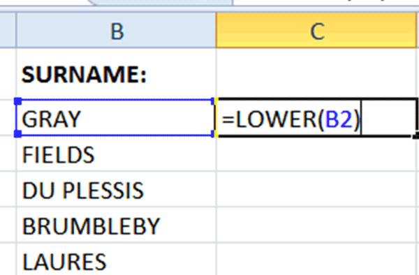 Using the LOWER formula Excel Tutorial